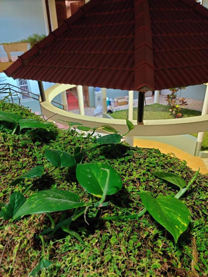 Nisarga Resort Kaglipur ภายนอก รูปภาพ